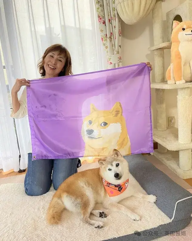 全球最知名狗狗去世！因doge表情包爆火十几年