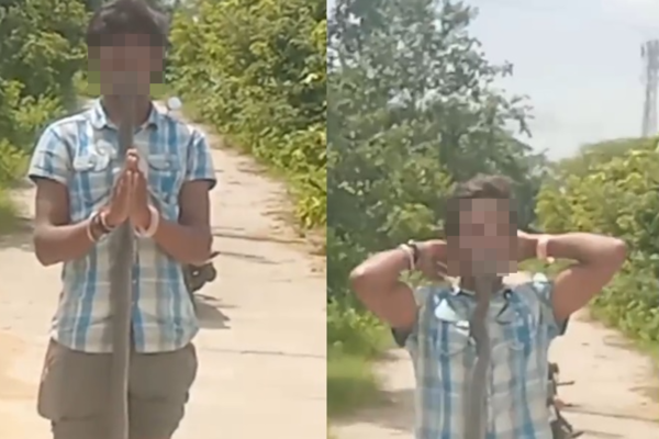 男挑战把剧毒眼镜蛇放口中 毙命画面疯传