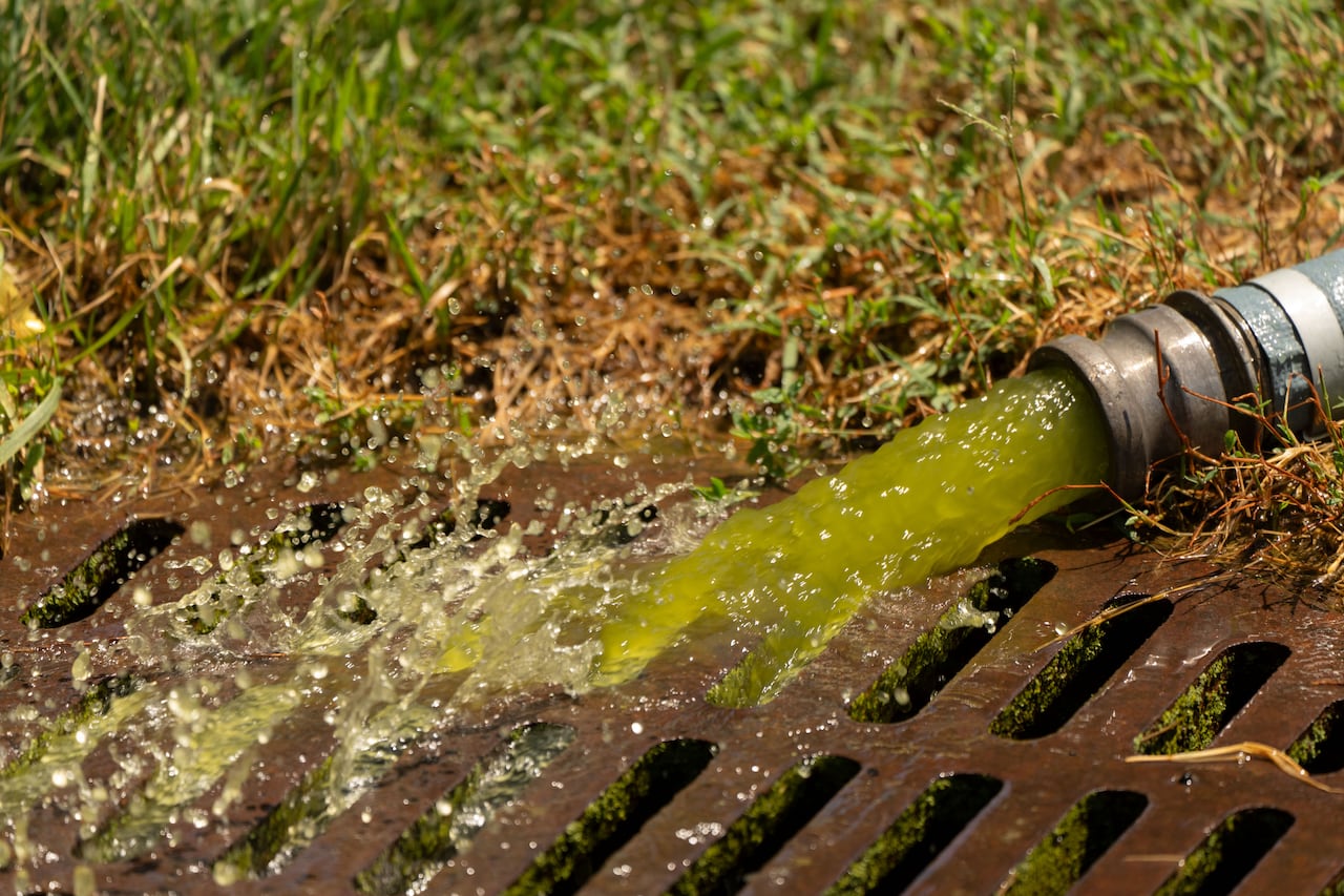 A hose spouts out a green liquid.