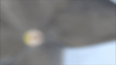 巴西拍到超清晰UFO！被网友的火眼金睛笑喷了