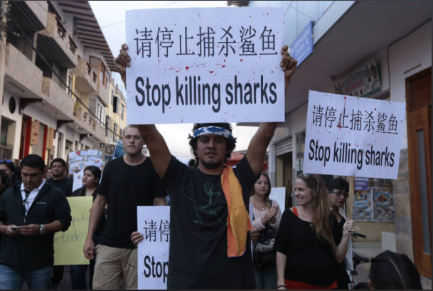 中国渔船非法捕捞太猖狂 这国不忍了