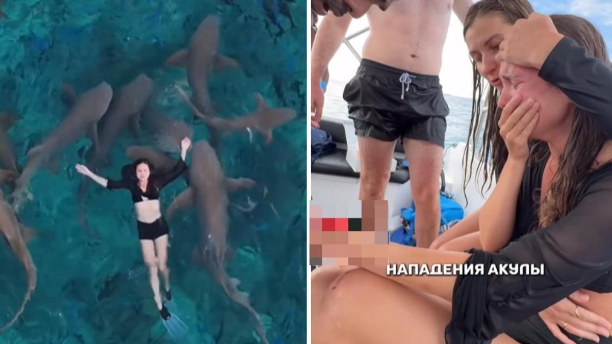 网红仰躺水中与鲨鱼群拍美照   下秒被狠咬