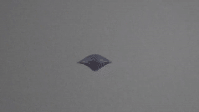巴西拍到超清晰UFO！被网友的火眼金睛笑喷了