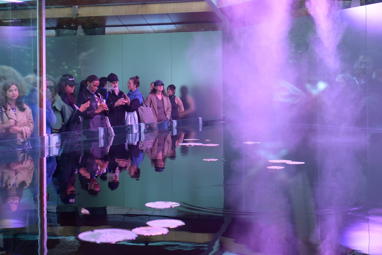 People stand alongside a pond inside a building lit by purple misty light.