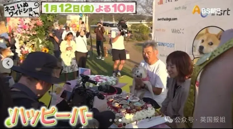 全球最知名狗狗去世！因doge表情包爆火十几年