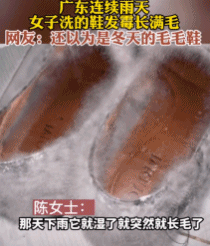 南方人最近从头霉到脚“总算明白发配岭南有多可怕了”