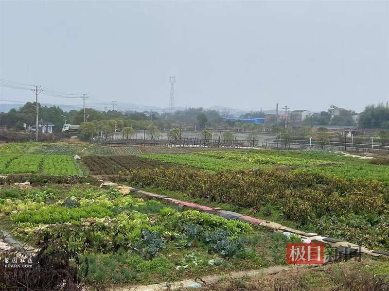 粗苯泄漏事故废水被转至露天池暂存 专家:尽快加盖(图)