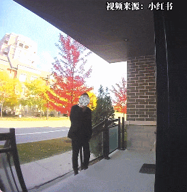 加国华人家大白天被偷:亚裔男子提前踩点 全程被拍(图)