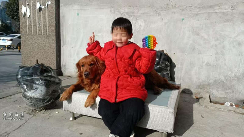 真假父母都在监狱服刑,雇主失联育儿嫂当了3年妈(组图)