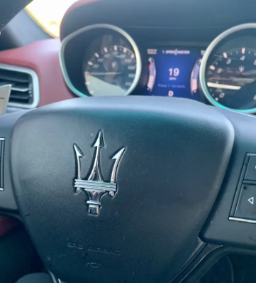 华人因签证问题滞留境外,华人房东帮忙代遛豪车 (组图)