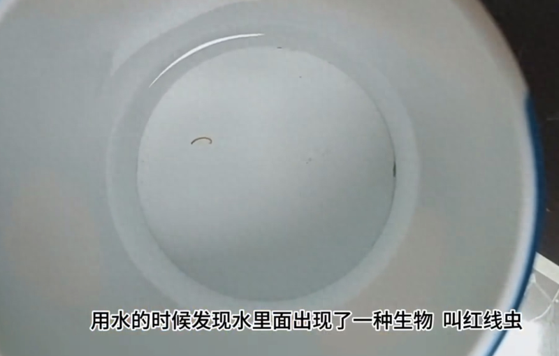 上海一小区居民慌了:自来水里有虫在蠕动 不淡定了(图)