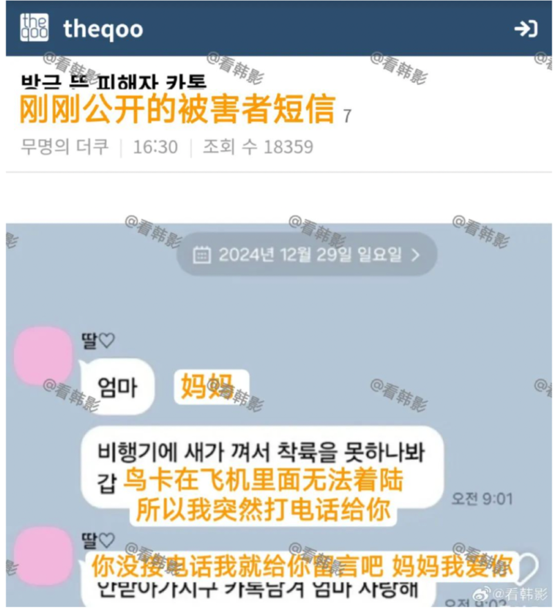韩国空难179人遇难 还有大量疑团需要解开(组图)