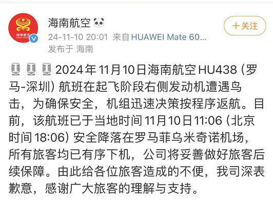 海航客机遭鸟击,发动机多次冒火光!现场画面曝光(组图)