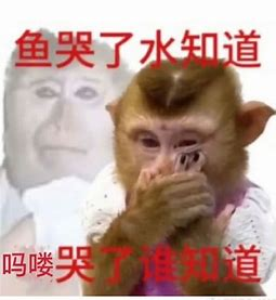 炫富为“割韭菜”?当一个假富二代可以多便宜?(组图)