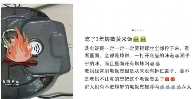 电饭煲从没拆开洗过?可能天天吃“蟑螂蒸饭”(图)