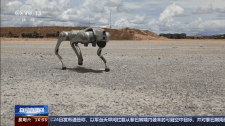 能侦察能打击!中方机器狗亮相中柬联演训练(组图)