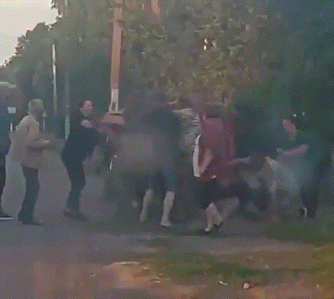 乌克兰征兵官在街头抓壮丁入伍 民众当街对抗(组图)