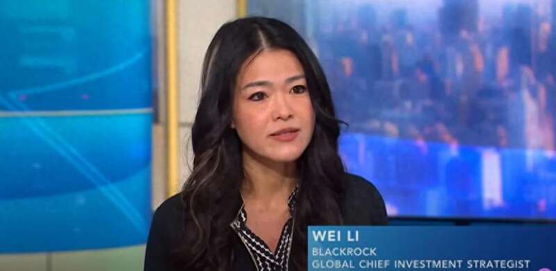 华裔美女火遍华尔街 1年让公司市值破万亿?(组图)