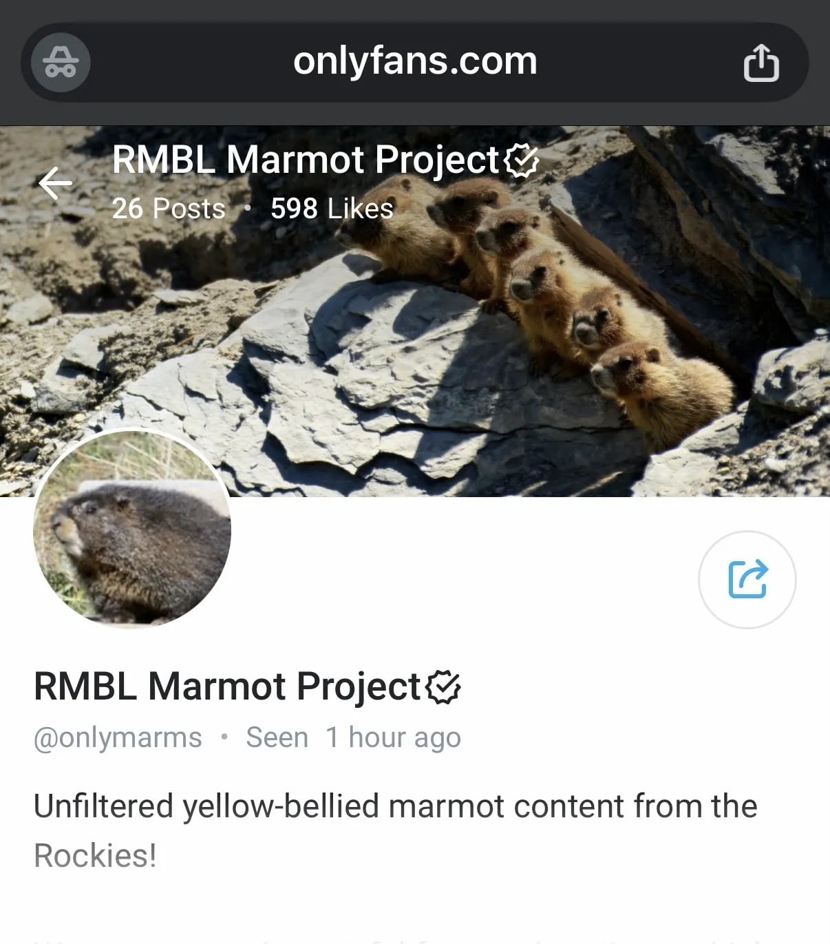 A social media page featuring 5 marmots standing on a rock.