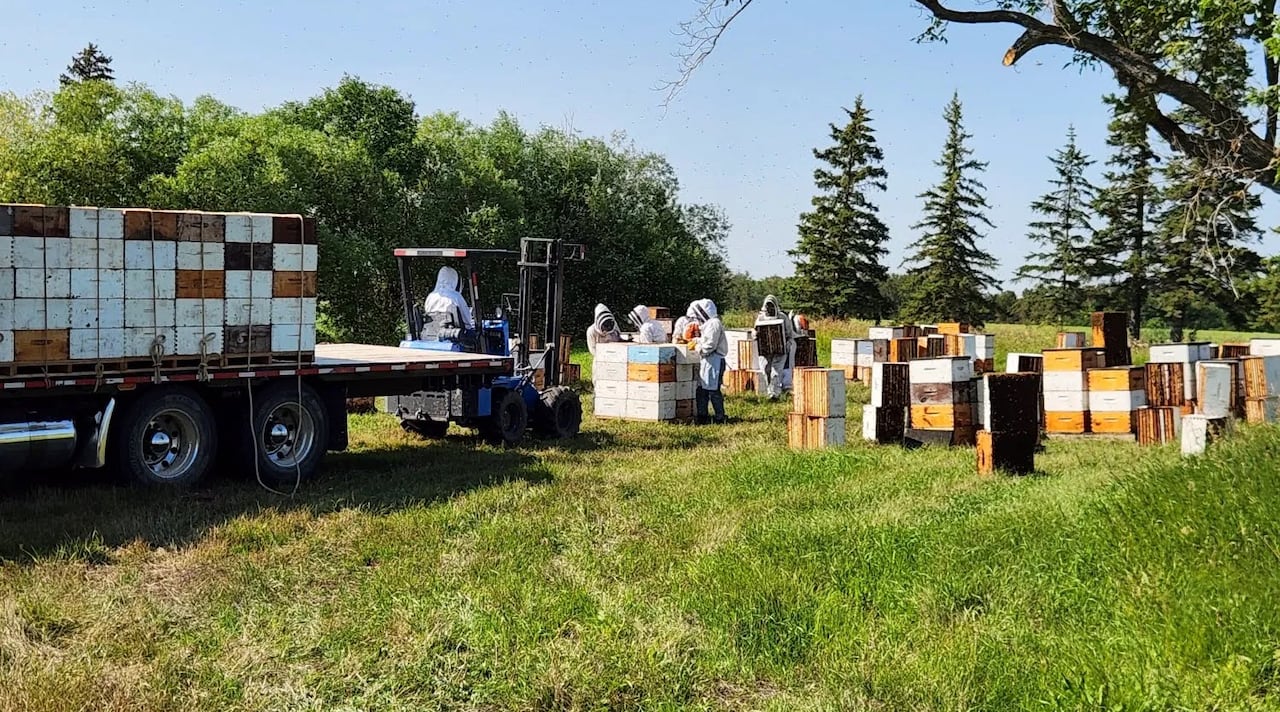A group of beekeepers wearing white protective equipment tend to crates next to a flatbed trailer filled with more crates