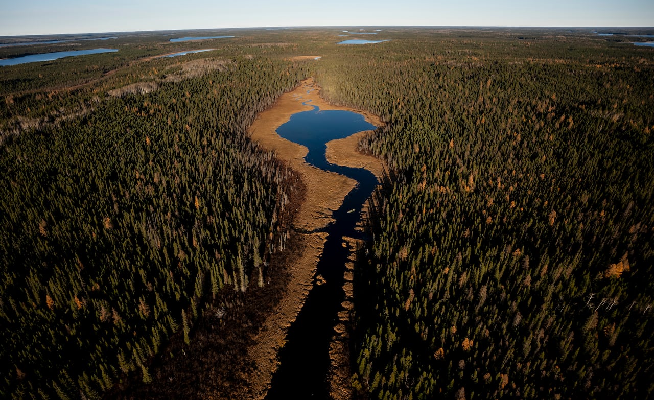 Rivers and forests east of Neskantaga, Ont., on Saturday, Oct., 25, 2025.