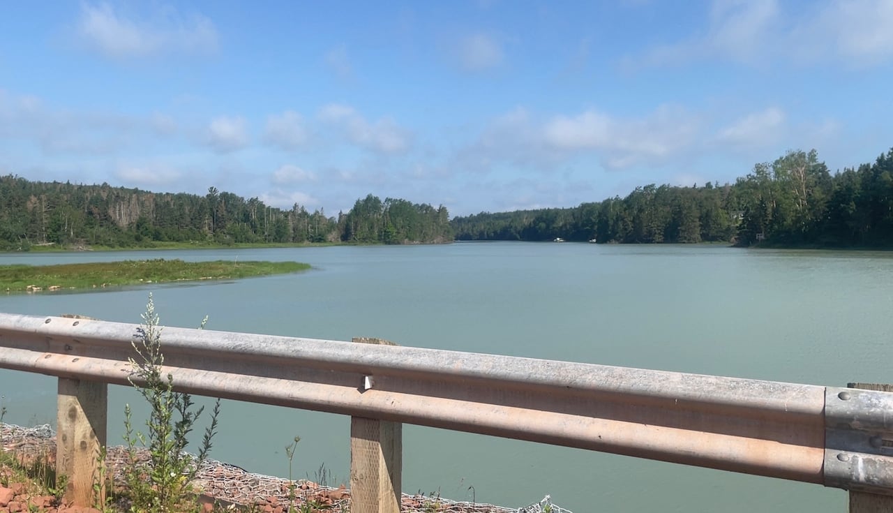 A large estuary with milky turquoise water. Trees are in the distance and a guardrail in the in foreground.  