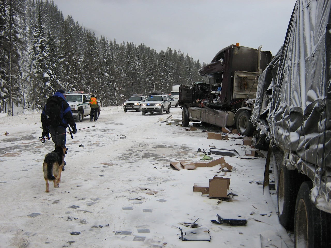 A man holding ski poles walks with a dog along a roadway where a large truck has dropped cargo after a collision.