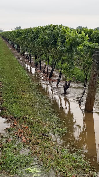 多伦多周边极端暴雨导致洪灾，专家称基础设施并非根本失效（配图2）