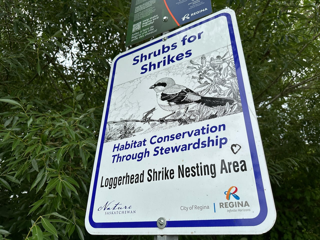 公园内标示着‘Shrubs for Shrikes’的告示牌，背景是绿色灌木丛