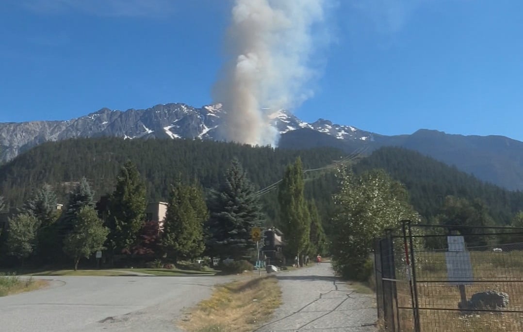 Smoke rises into a blue sky over a forested area.