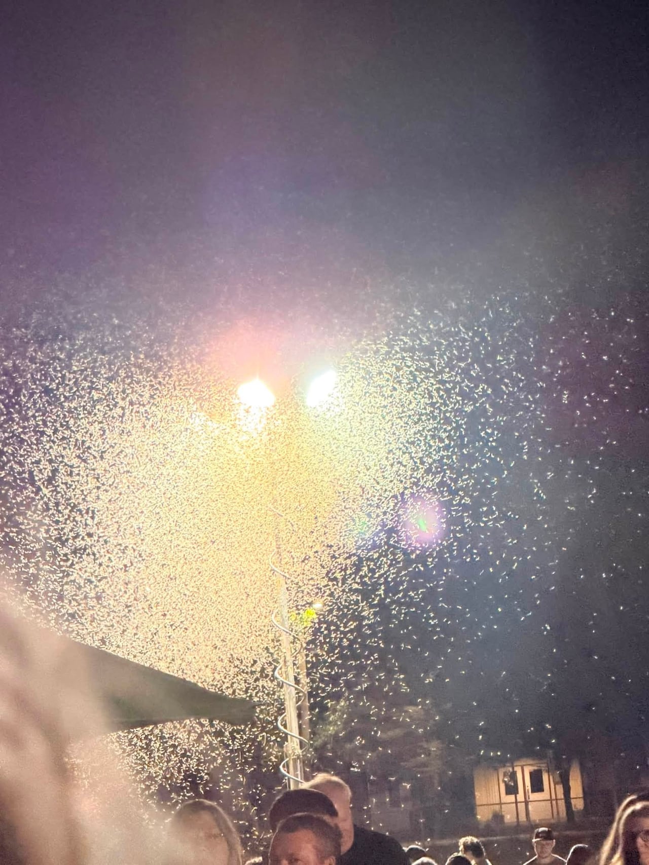 A swarm of insects surrounds an industrial, outdoor flood light.