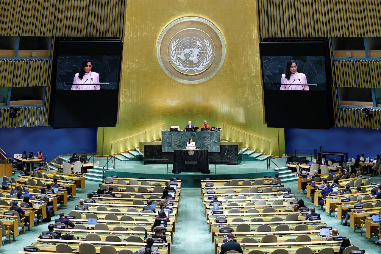 安南在联合国大会发表演讲