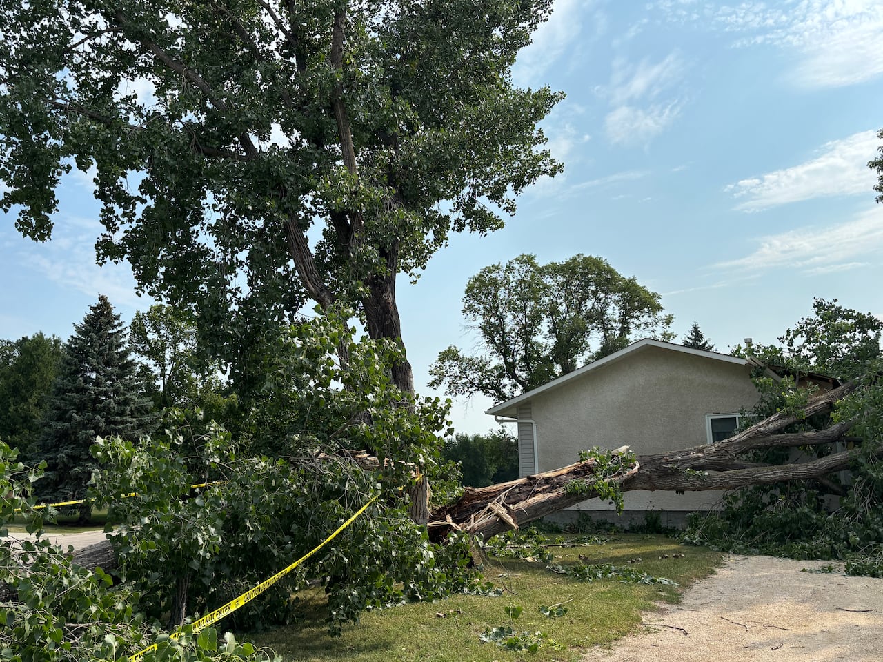 A tree knocked down in a storm is laid across a lawn and on a home.