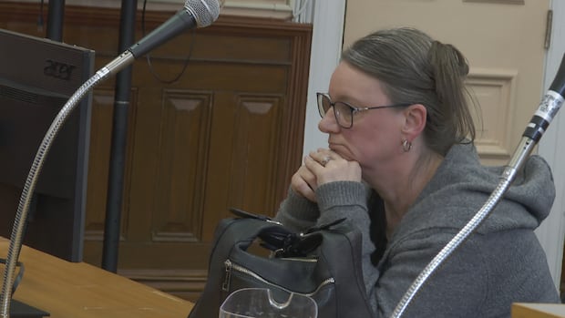 纽芬兰前住房倡导者因CERB诈骗获刑10个月 广东华人圈需警惕网络诈骗（配图2）