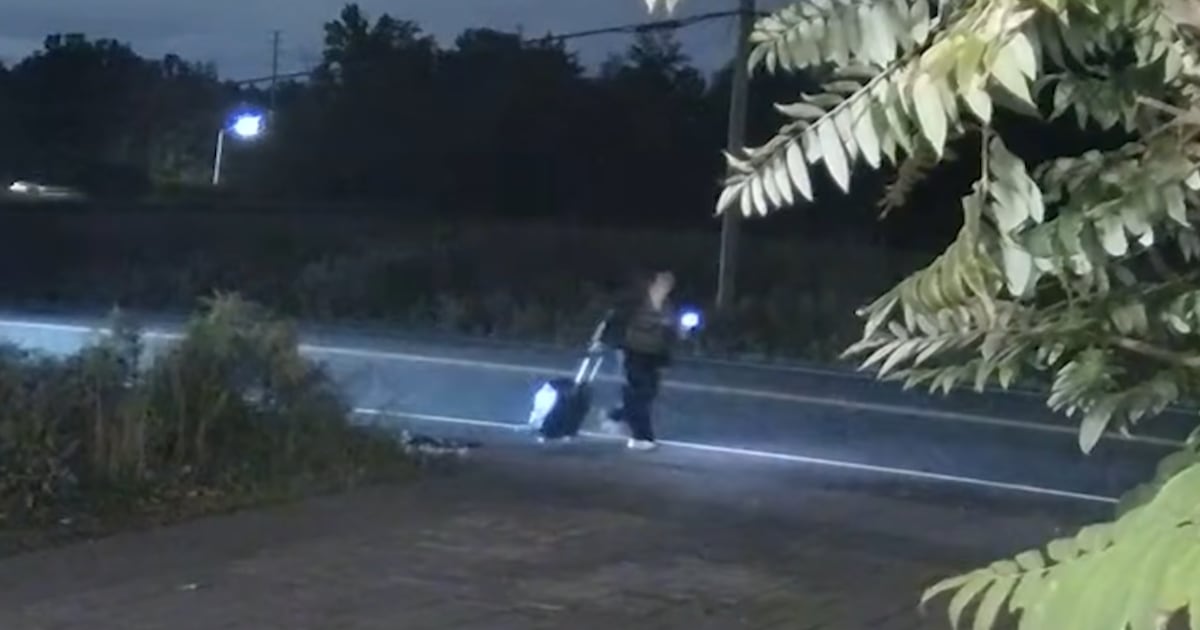 旺市发生致命肇事逃逸事故：华人护理工途中遇难，警方发布关键监控视频