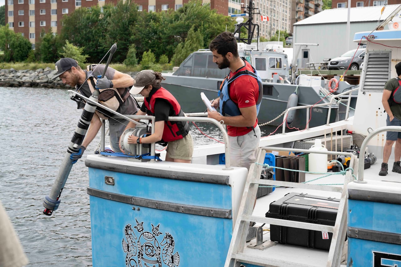 Adding trackers to Halifax harbour