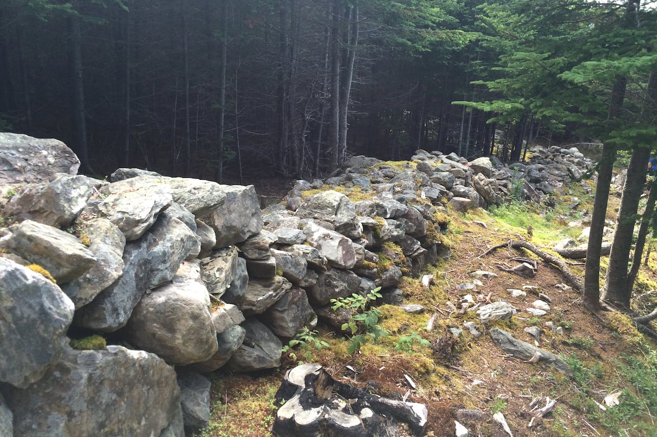 A wall made of stone in a wooded area.