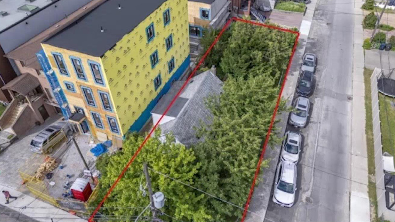 多伦多开发商被指非法砍树并向邻居投掷水果 引发社区强烈不满