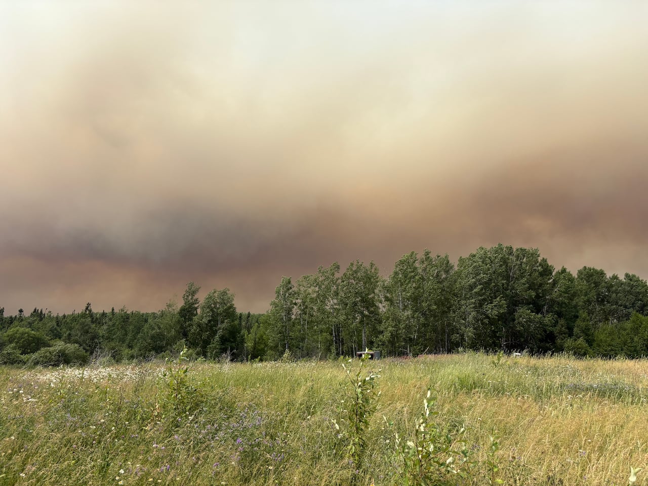 Wildfire smoke in the sky over a forested area.