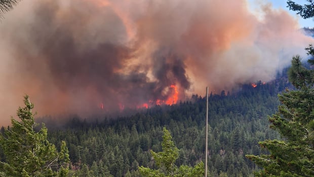 不列颠哥伦比亚森林火灾持续肆虐 多地紧急撤离与交通受阻