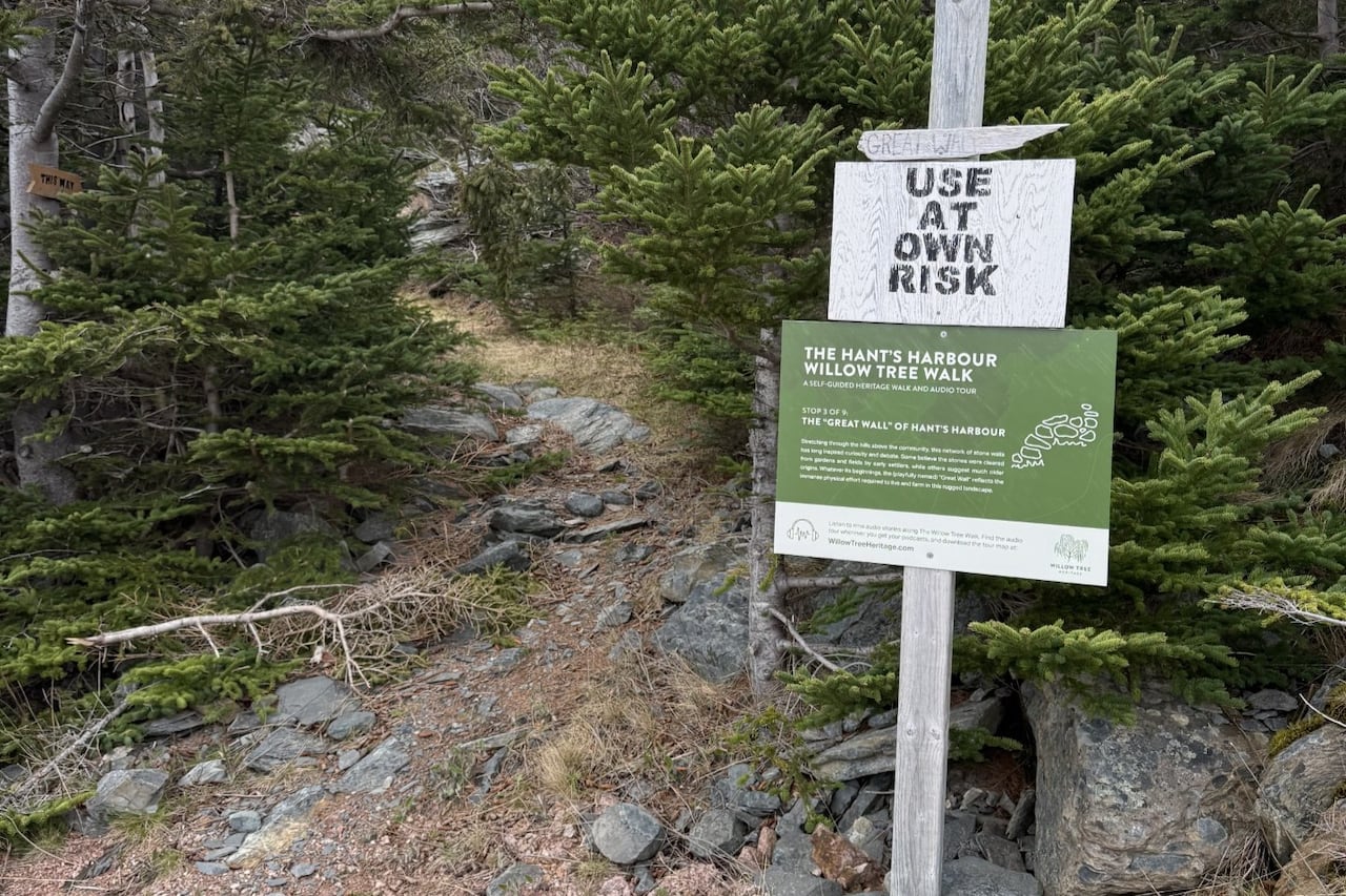 Two signs next to a trail that say "use at own risk" and "The Hant's Harbour Willow Tree Walk."