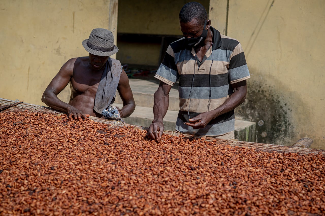 A man, shirtless in a hat, stands next to another man in a striped shirt, both using their hands over drying cocoa beans in the sun.