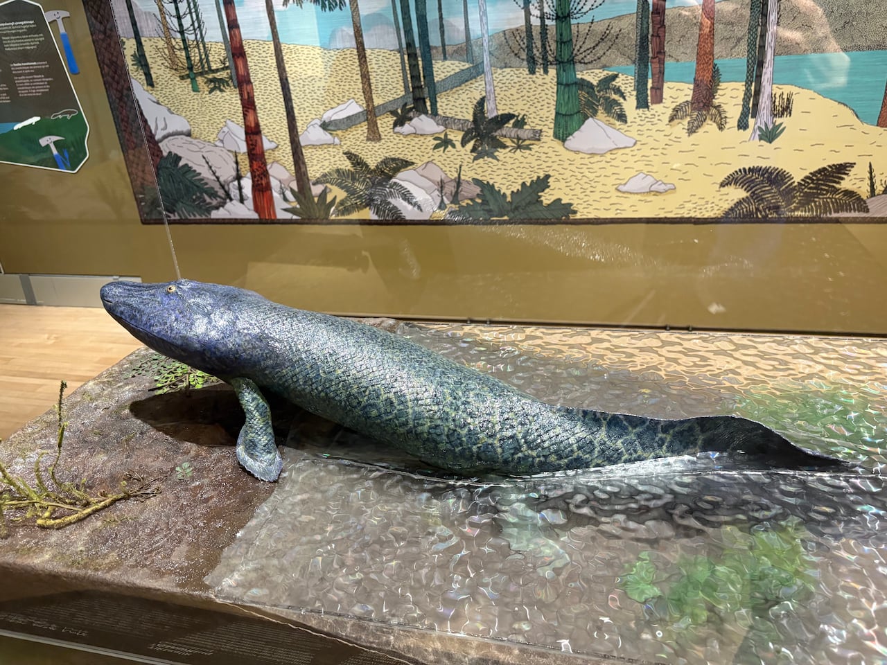 An amphibian with two front limbs supporting it