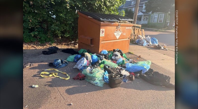 The owner of the CanAsian Market in Moncton, N.B., says she’s been dealing with acts of vandalism, open drug use and garbage dumped on her property. (Courtesy: Vicky Kim Corriveau)