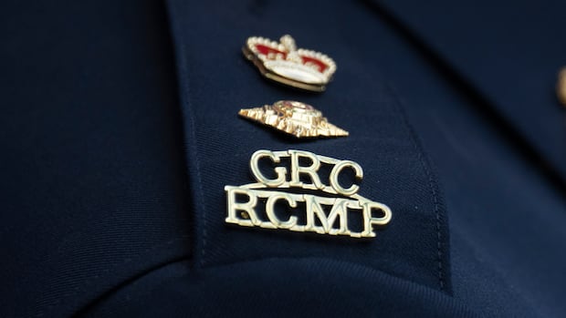 加拿大警方警示：极端恐怖组织利用网络诱导青少年，多伦多华人家庭须加强监护（配图1）