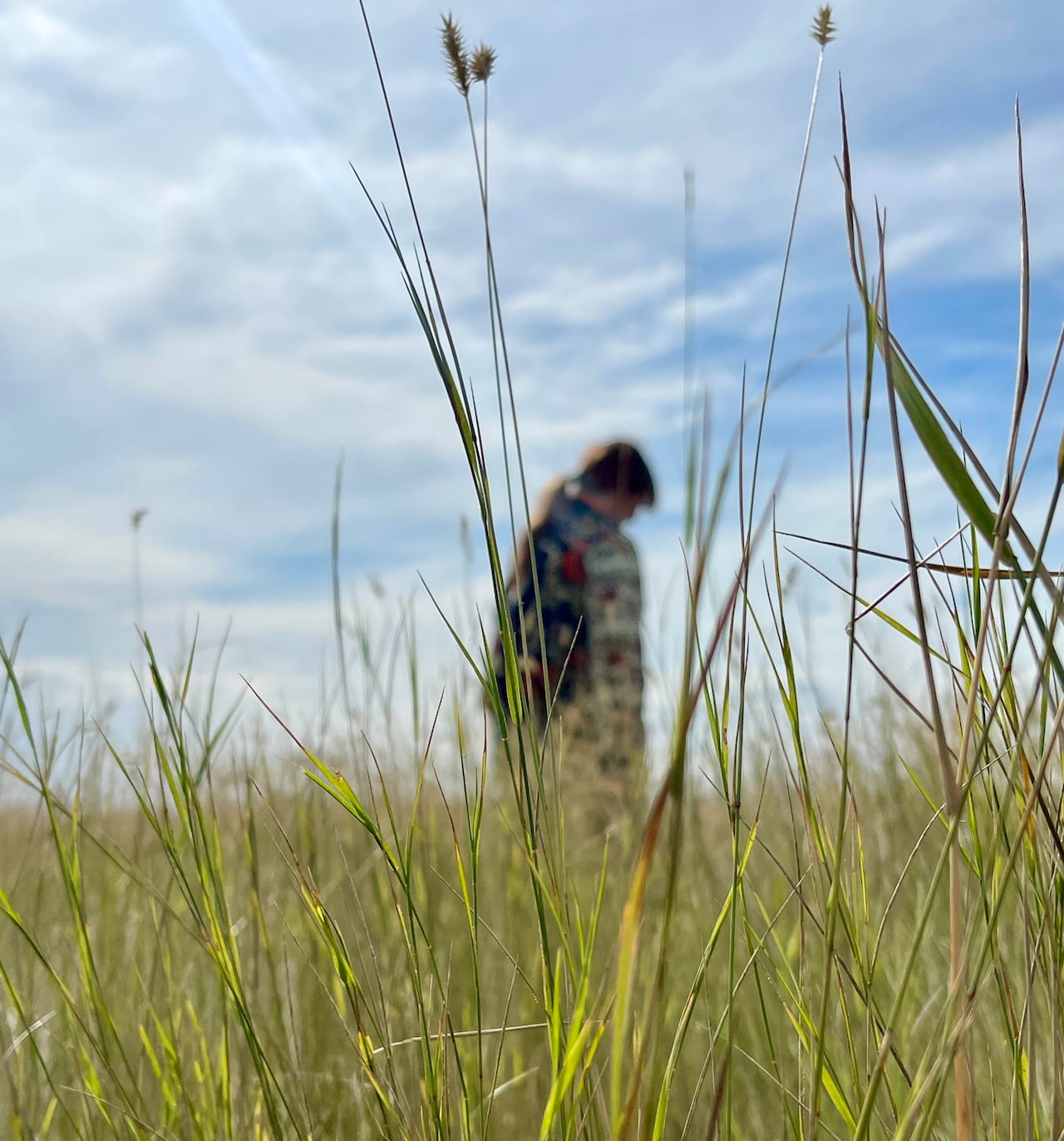A woman is out of focus behind blades of grass in the foreground.