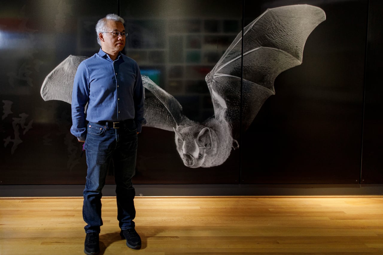 Man stands in front of huge photo of bat