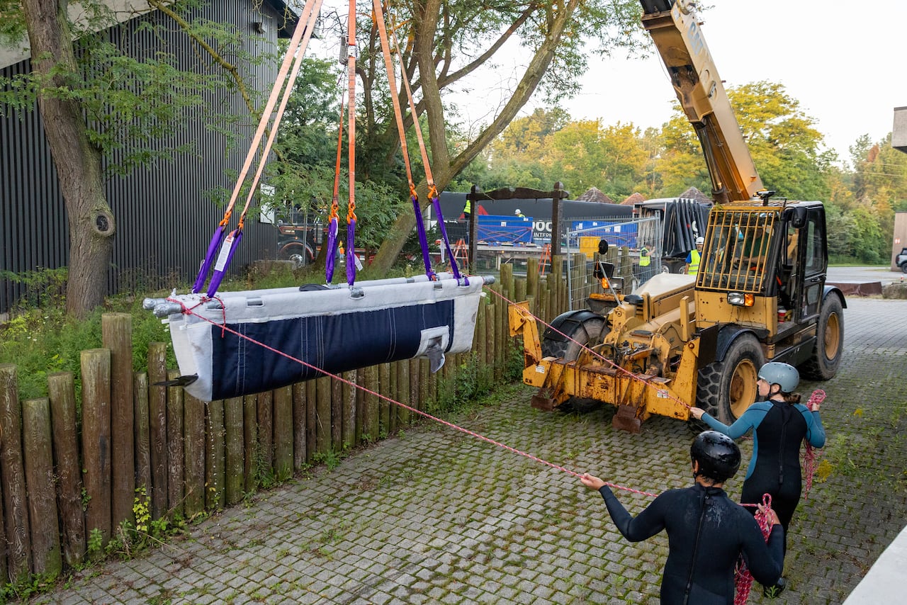 heavy machinery lifts a dolphin hanging in a sling