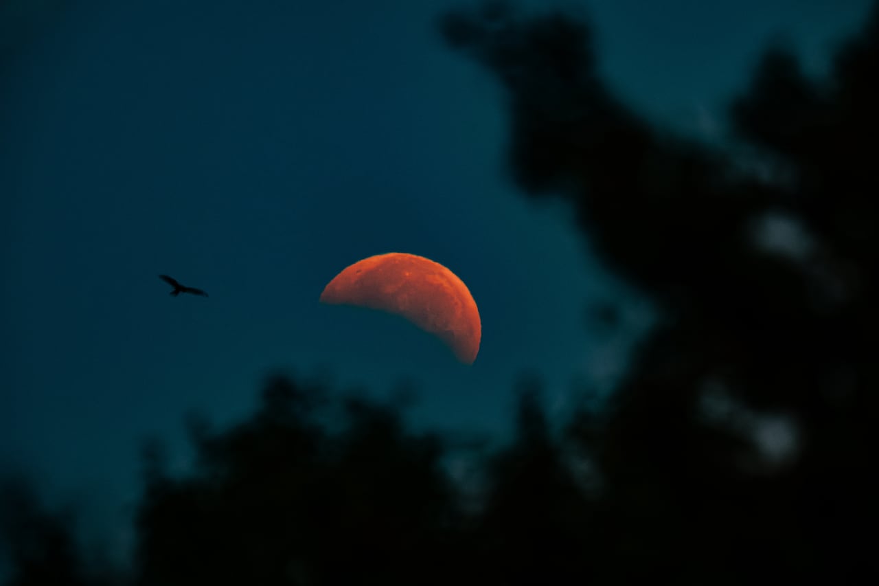 Reddish partial lunar eclipse in the night sky.