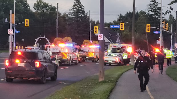 渥太华Rideau河边SUV失控坠水，路人英勇施救两人获救